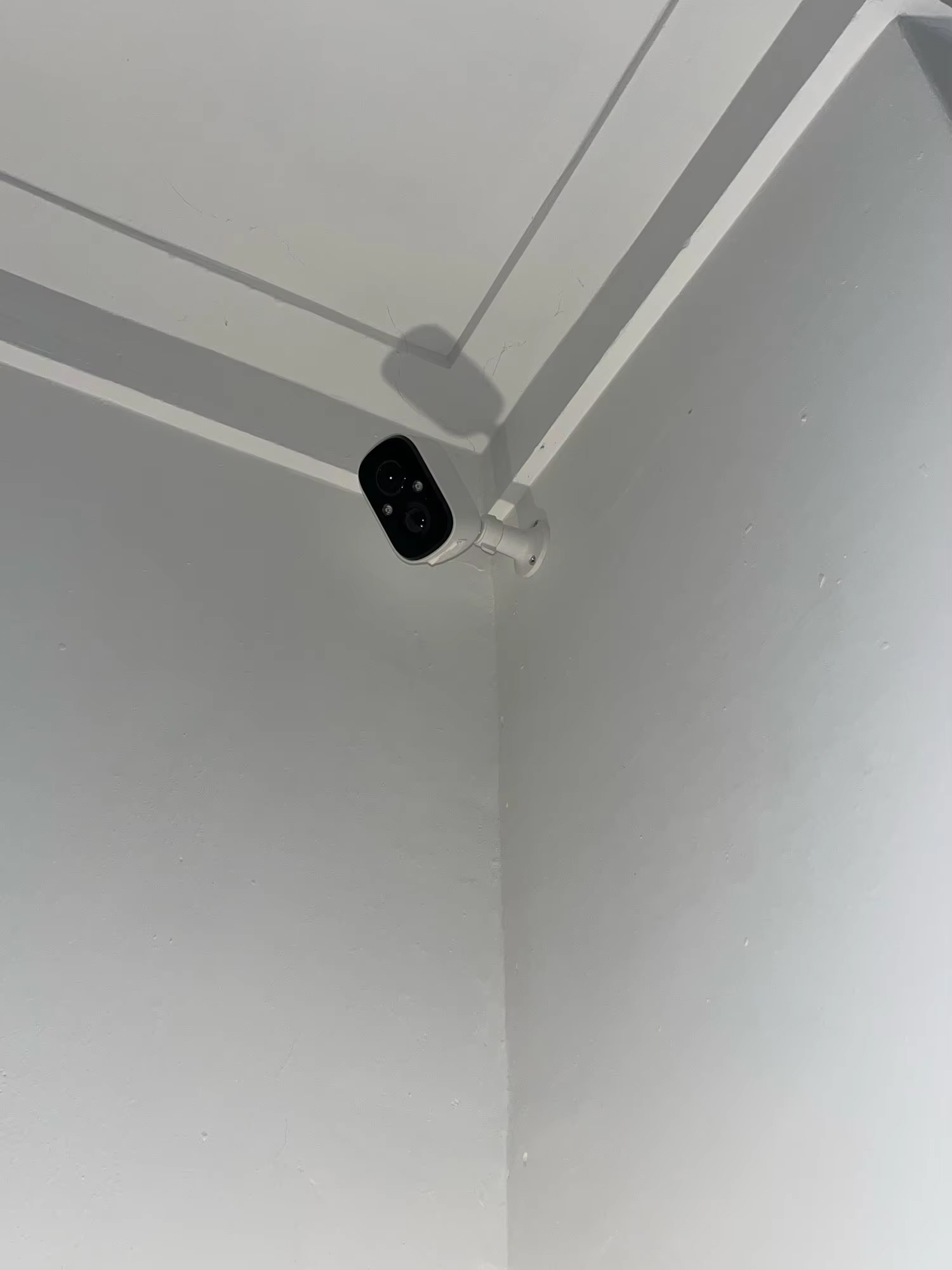 volte-eye-img-14